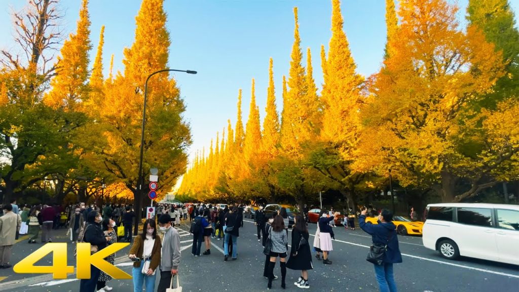 🇯🇵 From Omotesando to Jingu Gaien Ginkgo Avenue – Fall 2021 Tokyo, Japan【4K-60fps】 🇯🇵 From Omotesando to Jingu Gaien Ginkgo Avenue - Fall 2021 Tokyo, Japan【4K-60fps】