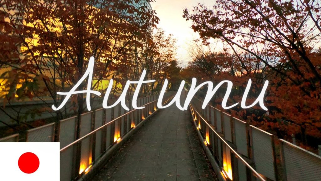 Autumn leaves in Japan walk /Japan Autumn tour Japan Niigata Autumn leaves in Japan walk /Japan Autumn tour Japan Niigata