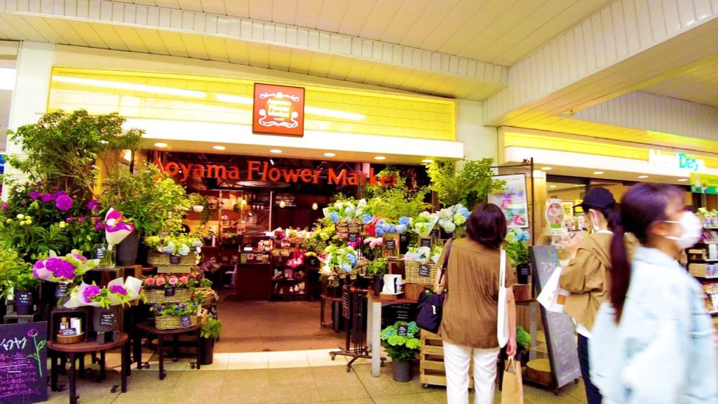 [Tsudanuma Walk in Tokyo] Town of Living ♪ (4K ASMR non-stop 1 hour 02 minutes)