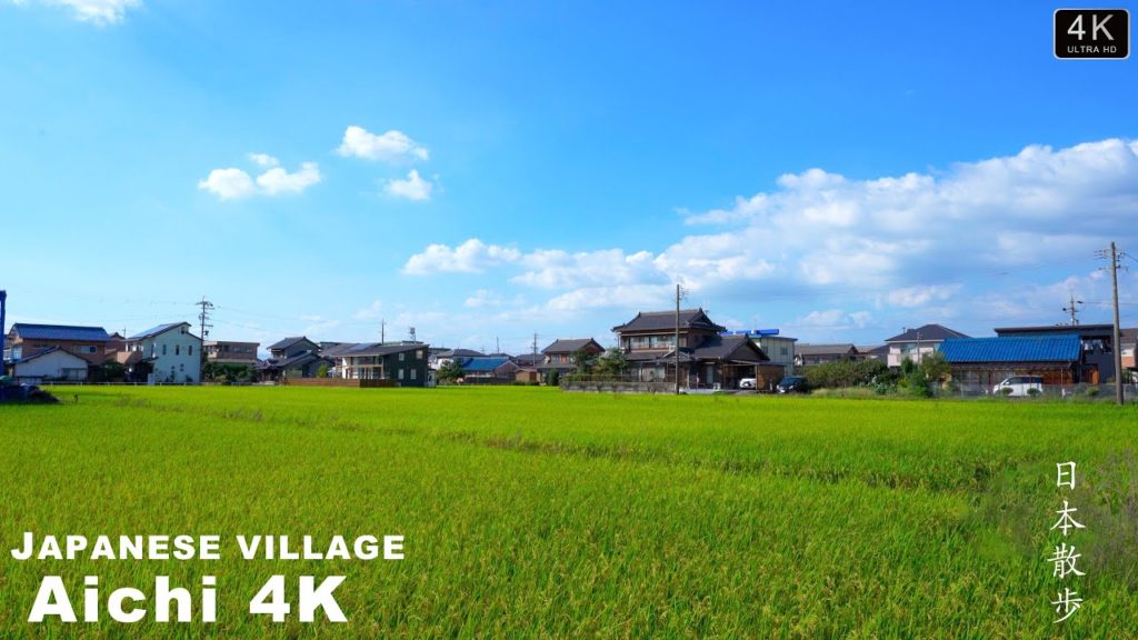 Japanese countryside walk丨Is education background important in Japan?丨Enjoy autumn【Japan in 4K】 Japanese countryside walk丨Is education background important in Japan?丨Enjoy autumn【Japan in 4K】