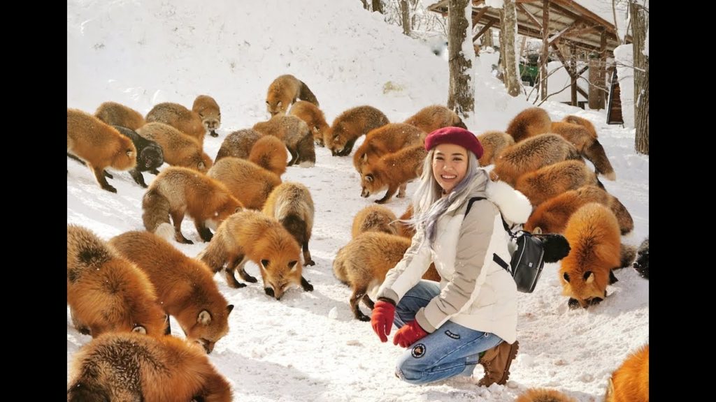 VLOG: SHOOTING DI TOHOKU, JAPAN (BTS)