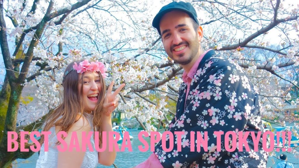 Hanami picnic at Inokashira Park, Kichijoji - Tokyo Vlog