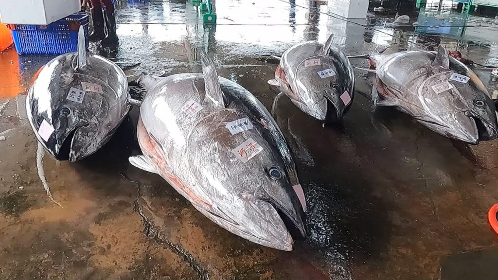 Amazing fish cutting skills - How to cut a giant bluefin tuna for Sashimi