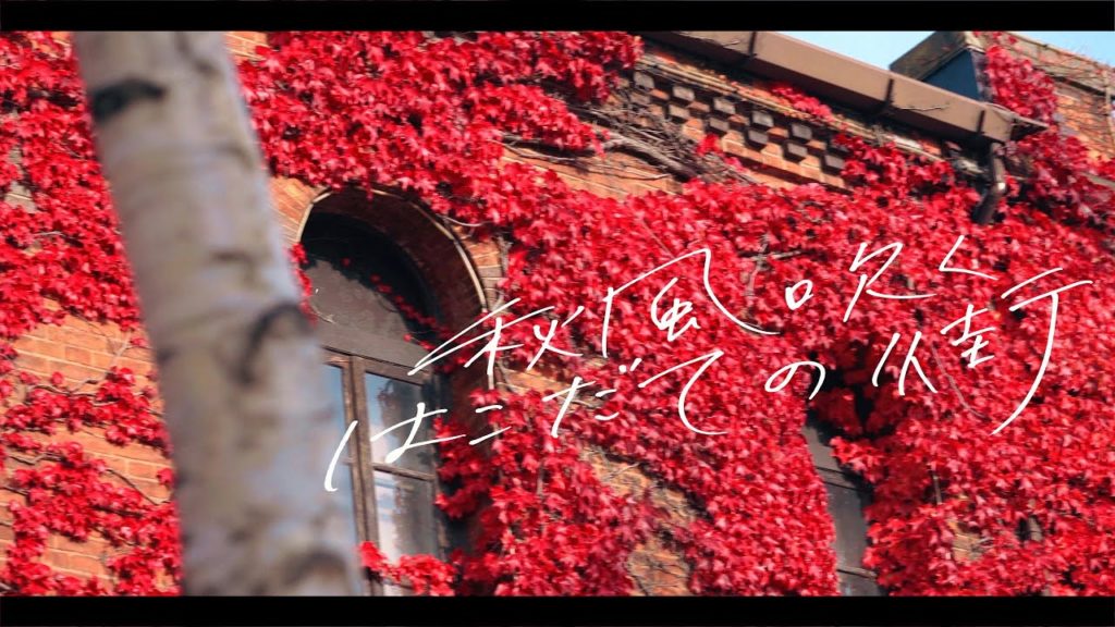 【北海道 秋の函館旅】熱帯植物園・ベイエリア・元町散策。函館にはこんな場所もあったんだ！