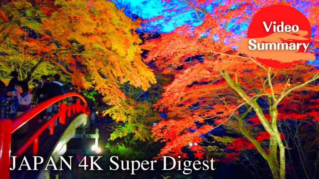 【4K】The best moment in Japan – Illuminated autumn leaves of "Kajika Bridge" 【4K】The best moment in Japan - Illuminated autumn leaves of "Kajika Bridge"
