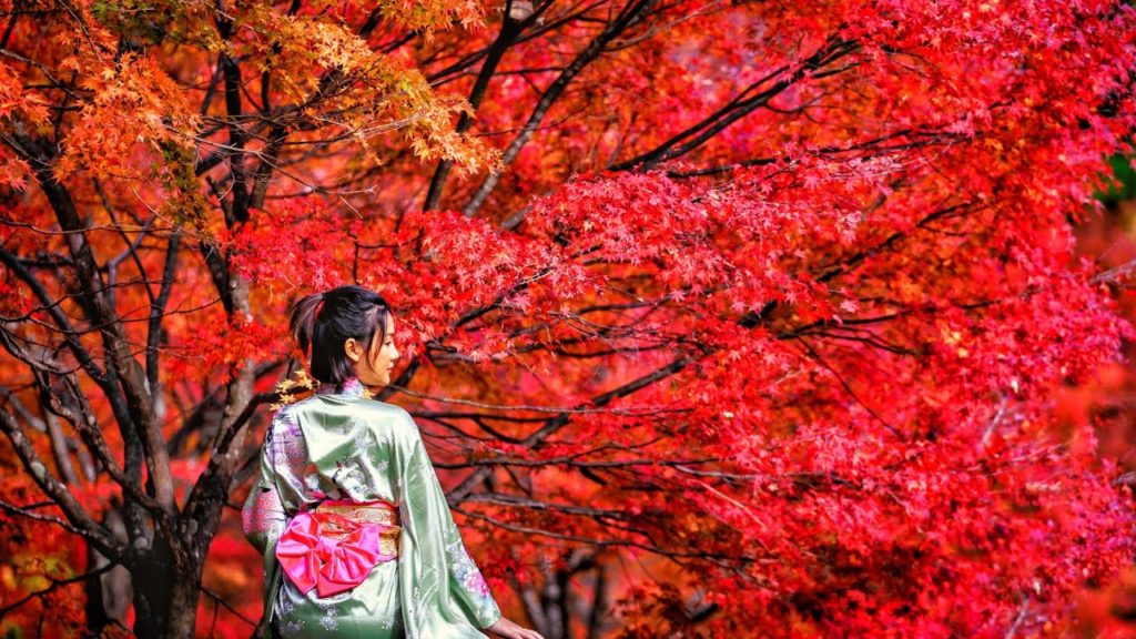 THE MOST AMAZING AUTUMN IN JAPAN 2021🔥 SO SURREAL‼️