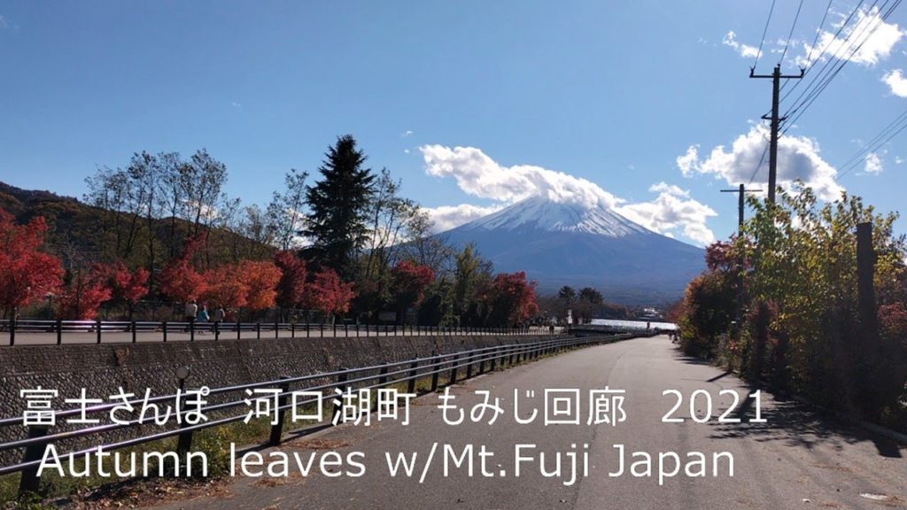 河口湖もみじ回廊　autumn leaves w/Mt.Fuji Japan