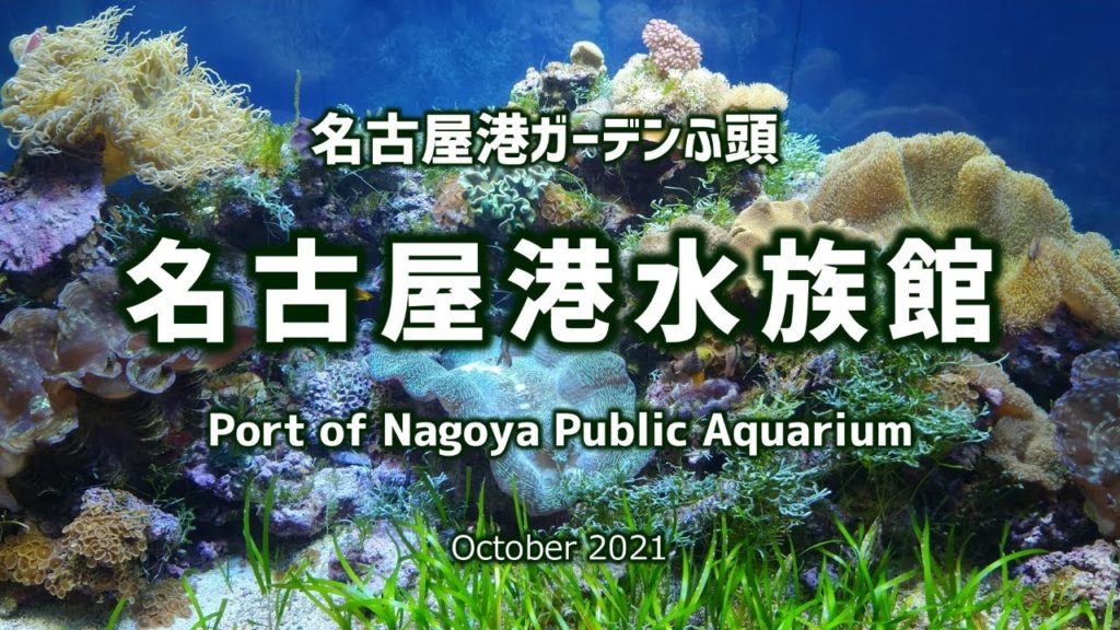 名古屋港水族館と周辺施設｜HTC ドライブ観光スポット