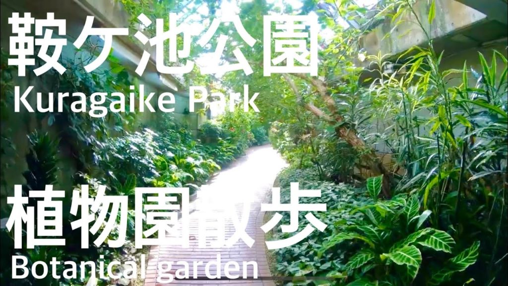 Walk「豊田 鞍ヶ池公園 植物園 Toyota」愛知 名古屋 観光 旅行 散歩 再開発 スノーピーク 水族館 動物園 Nagoya キャンプ ピクニック 無料 ガーデン ガーデニング フリマ 自然 Walk「豊田 鞍ヶ池公園 植物園 Toyota」愛知 名古屋 観光 旅行 散歩 再開発 スノーピーク 水族館 動物園 Nagoya キャンプ ピクニック 無料 ガーデン ガーデニング フリマ 自然