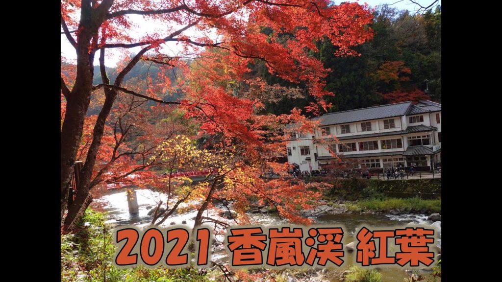 2021年 香嵐渓の紅葉 2021年 香嵐渓の紅葉