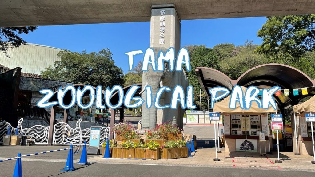 [Vlog] Tama Zoological Park | Tokyo Sightseeing, Japan
