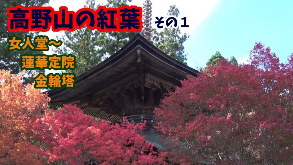 【高野山女人堂～蓮華定院】紅葉ベストシーズン高野山巡りAutumn in Koyasan, where there are many temples, is wonderfully beautiful