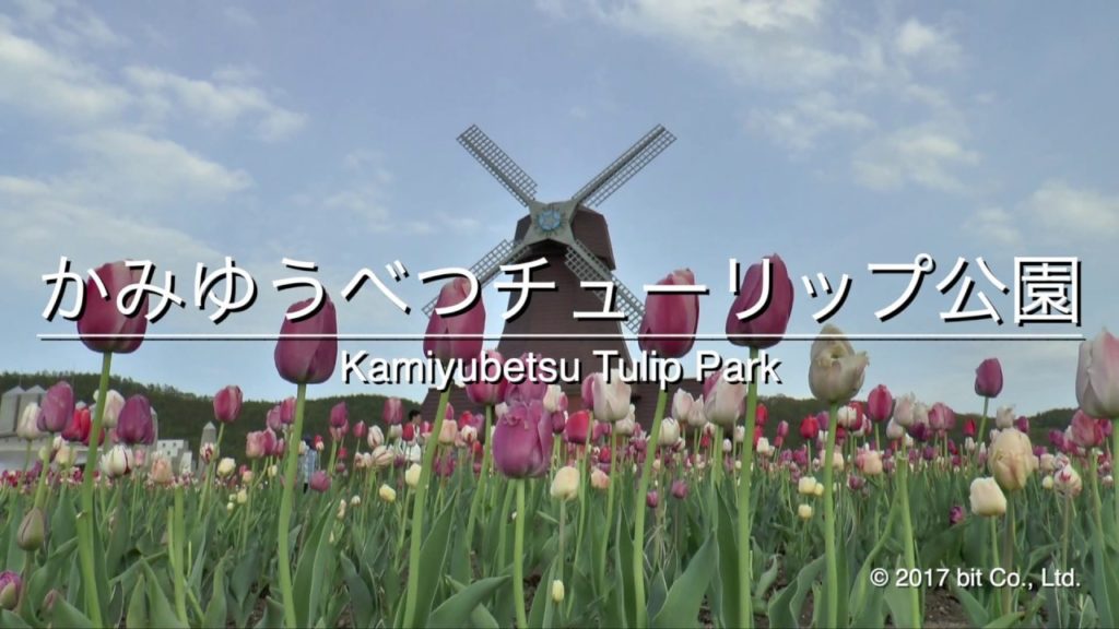 Kamiyubetsu Tulip Park