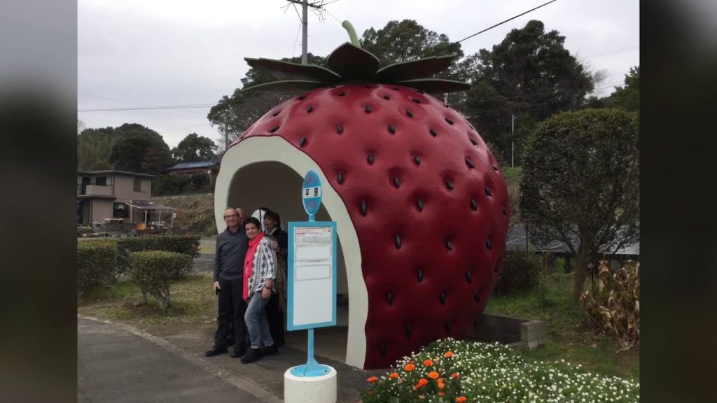 Tour Nagasaki will find the best and memorable locations for your private party.