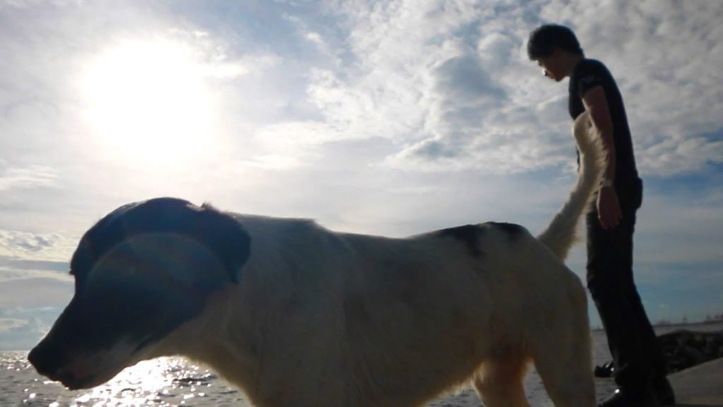 フィリピン旅行、マニラ湾で生きるフィリピン人、マニラの海とペプシコーラ