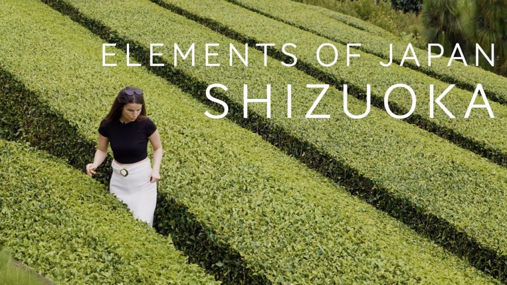 Elements of Japan: Shizuoka – Travel Beyond Tokyo – Bilingual Japanese/English Japan Travel Series Elements of Japan: Shizuoka - Travel Beyond Tokyo - Bilingual Japanese/English Japan Travel Series