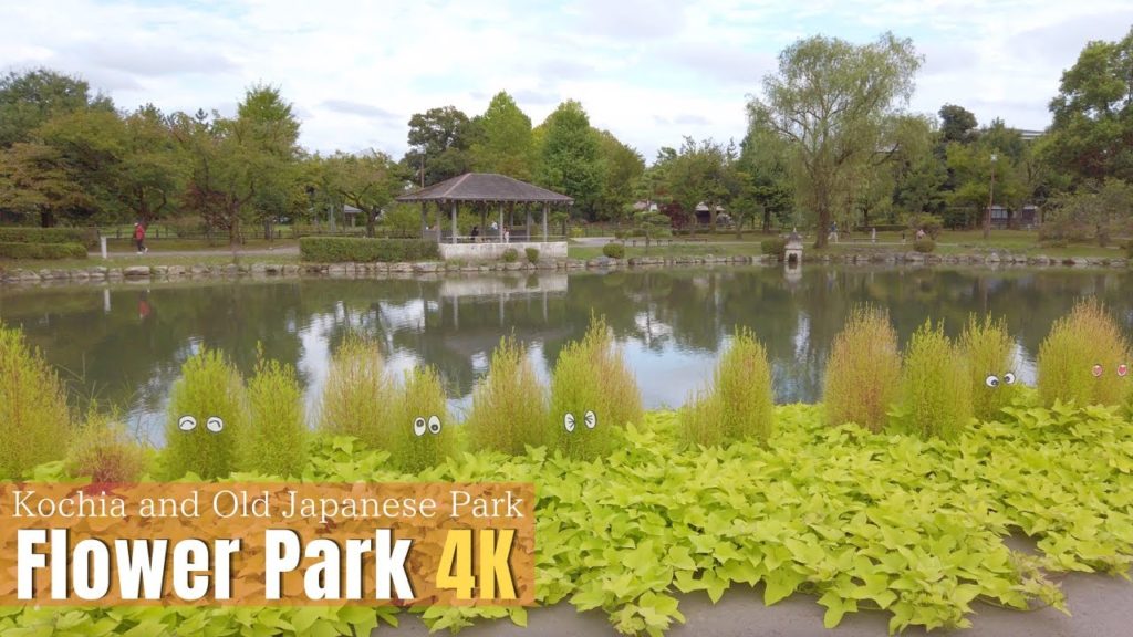 [4K] Japan Countryside | Flower Park Tour | Tonami Tulip Park | Toyama