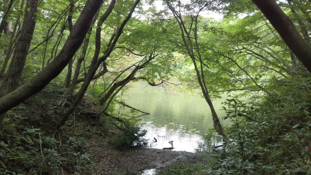 SENDAI, JAPAN, City of Water Ⅱ