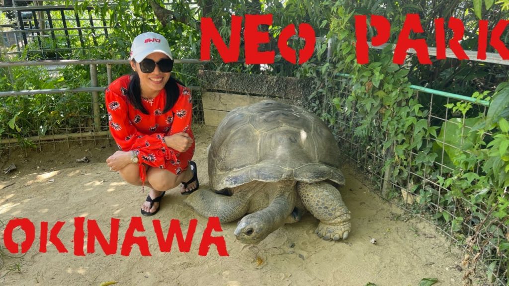 Okinawa - NEO PARK
