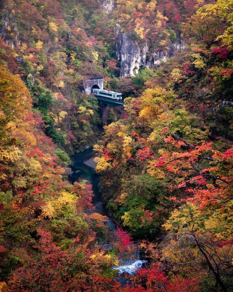Dive into the vivid colours of autumn at Naruko Gorge.  From late October to ear...