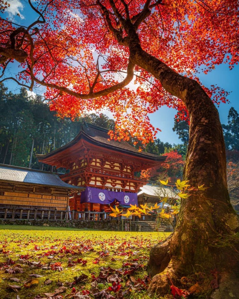 Wakayama's Niutsuhime Shrine is one of the prefecture's oldest shrines, with a r...