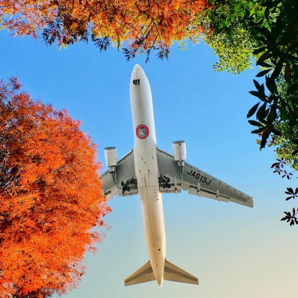 .
秋の空から見守る #JALアマビエJET 
穏やかな日常を空から運んでくれますように︎
#UncommonOctober

The JAL Amabie J...