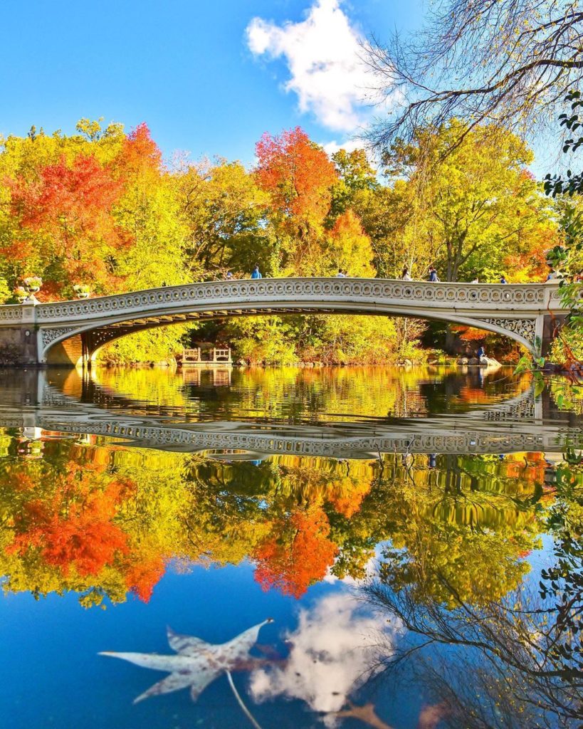 Japan Airline: .
澄んだ空気に包まれた秋の #セントラルパーク
美しい水鏡に癒やされます
#UncommonOctober Autumn in Central Park e… .
澄んだ空気に包まれた秋の #セントラルパーク
美しい水鏡に癒やされます
#UncommonOctober Autumn in Central Park e...