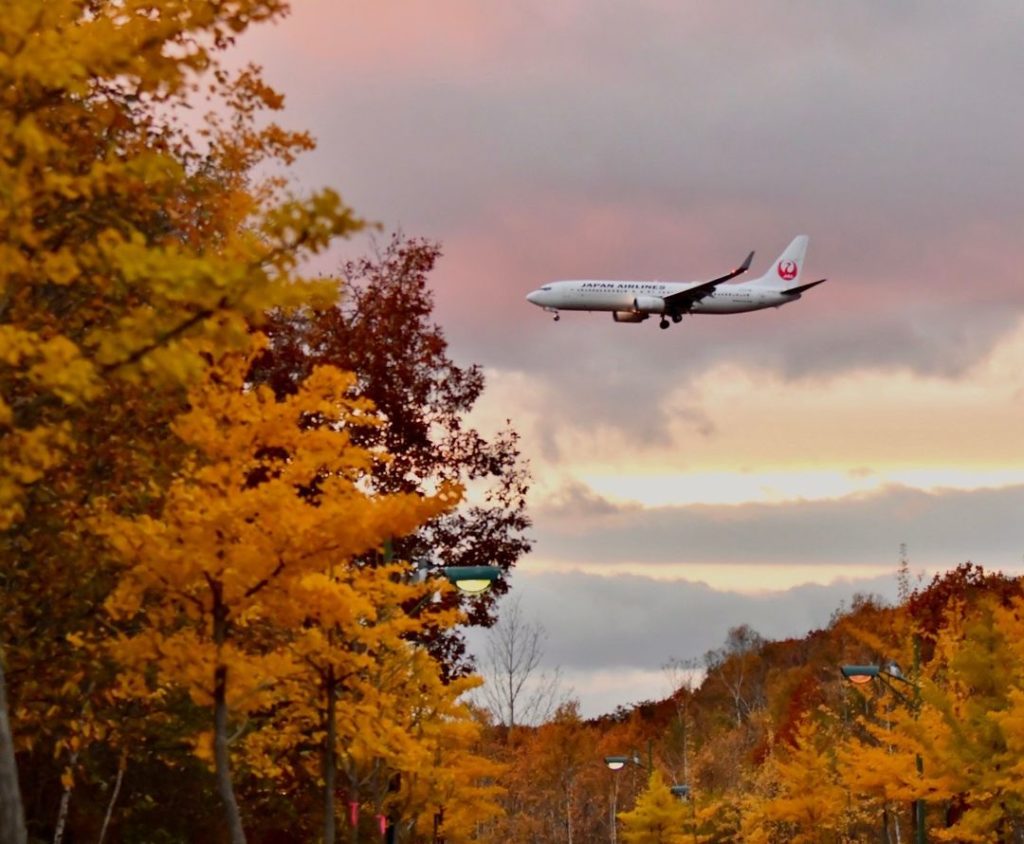 .
紅葉を楽しんでいる #ボーイング737 
この時期は飛行機からの眺めも楽しみの一つですね。
#WorldlyNovember  A Boeing 737 e...