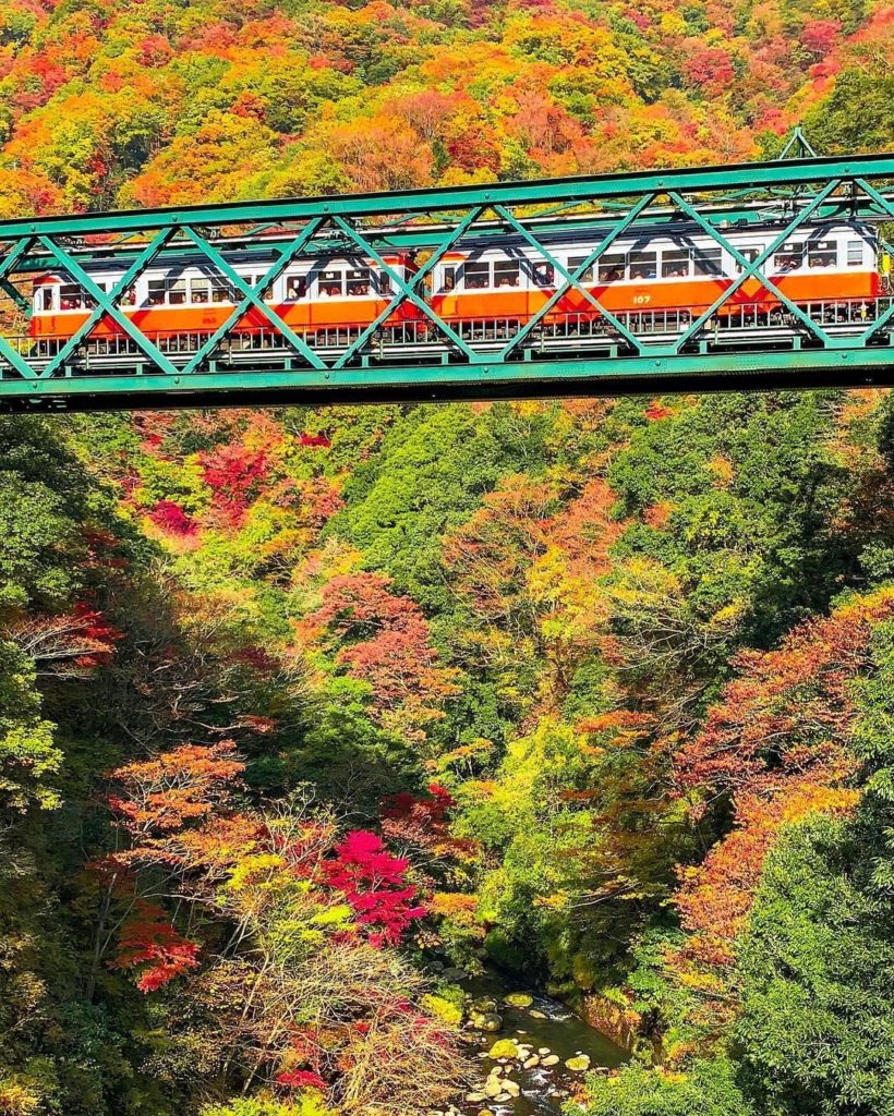 What an extraordinary train ride this must be! 
The Hakone Tozan Railway from Ka...