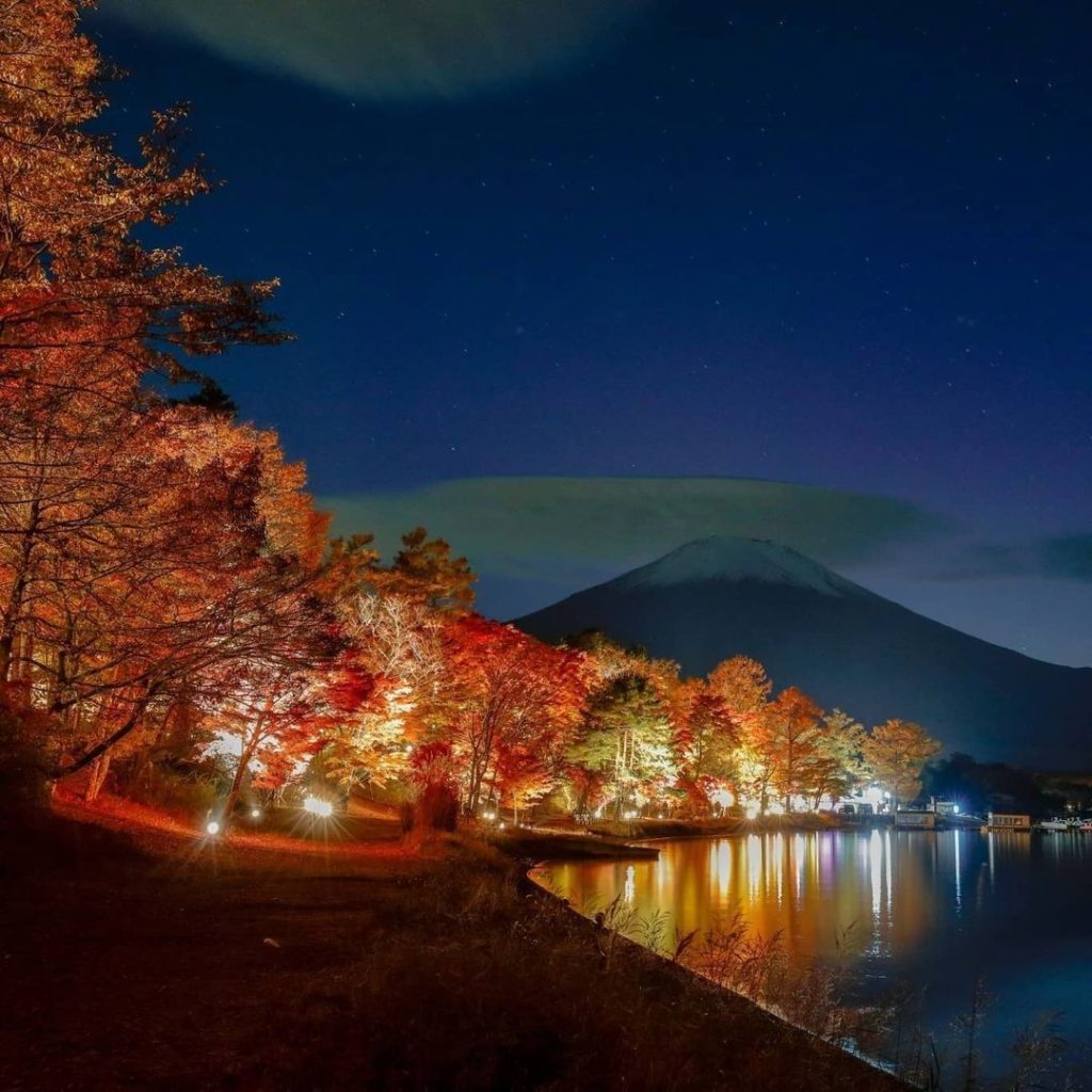 Wouldn't this be a lovely nighttime stroll? 
The illuminated trees from the Suns...