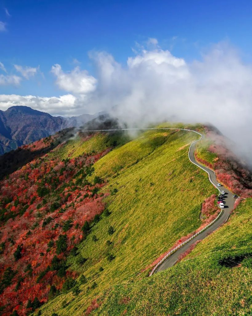Visit Japan: What can you see on the road ahead?
The UFO line from Kochi Prefecture is a roa… What can you see on the road ahead?
The UFO line from Kochi Prefecture is a roa...
