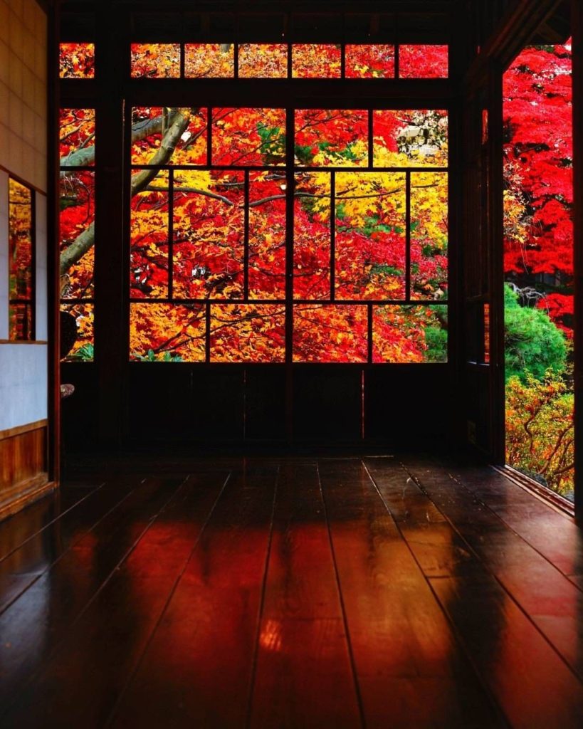 Can you grasp the beauty of the nearby trees peeking in from the wooden structur...