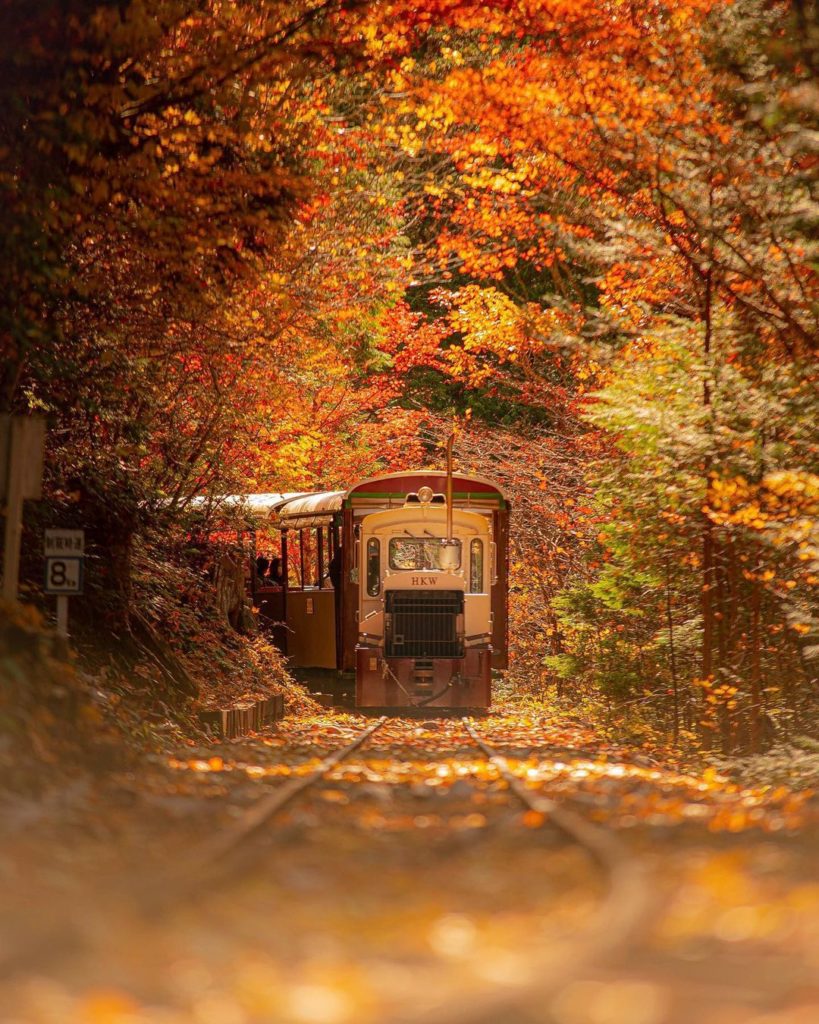 Hidden in train sight.  Hop on and be transported to the scenic Akasawa Natural ...