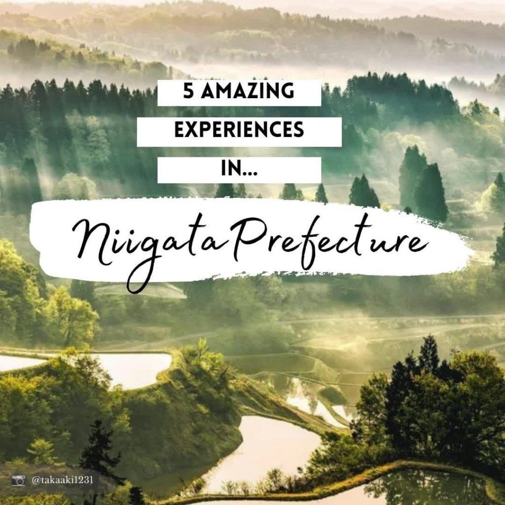 Sake vending machines, premier snow resorts, cherry blossom festivals, picturesq...