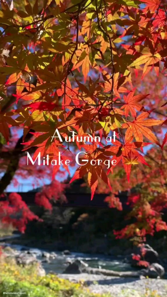 Discover another side of Tokyo 
: @hellodianasaridewiii
-----
 Mitake Gorge, #T...