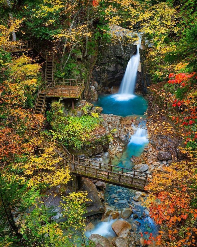 Isn't it amazing how a destination transforms during different seasons? Gifu's R...