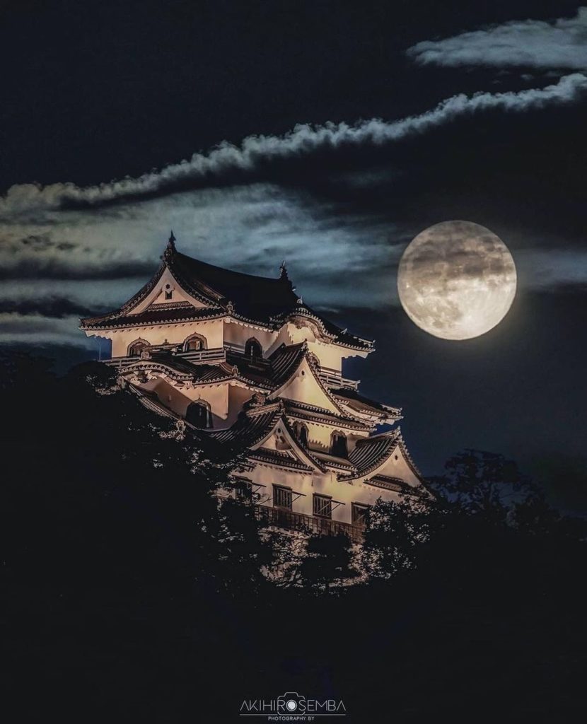 Can you imagine a more spectacular castle view? This is Hikone Castle, the castl...