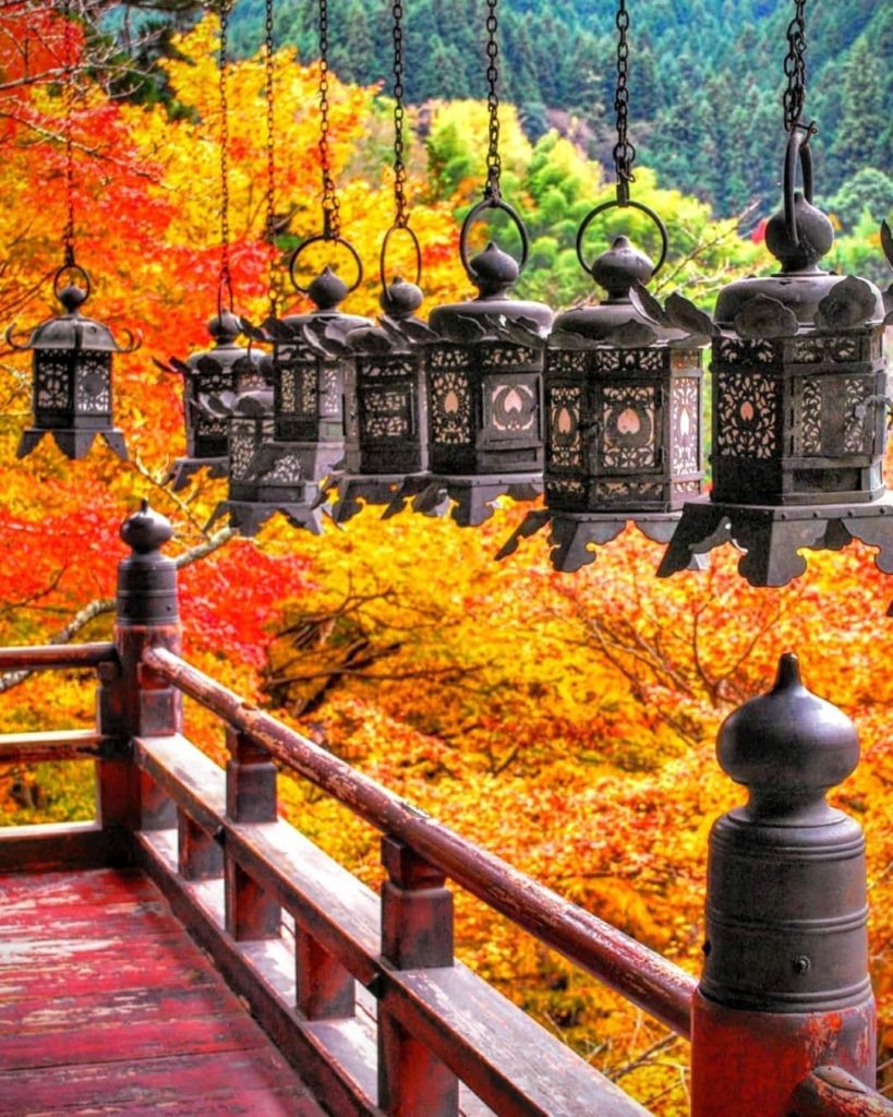10 traffic light colors of fall 

Locations & photographers:

Tanzan-jinja Shri...