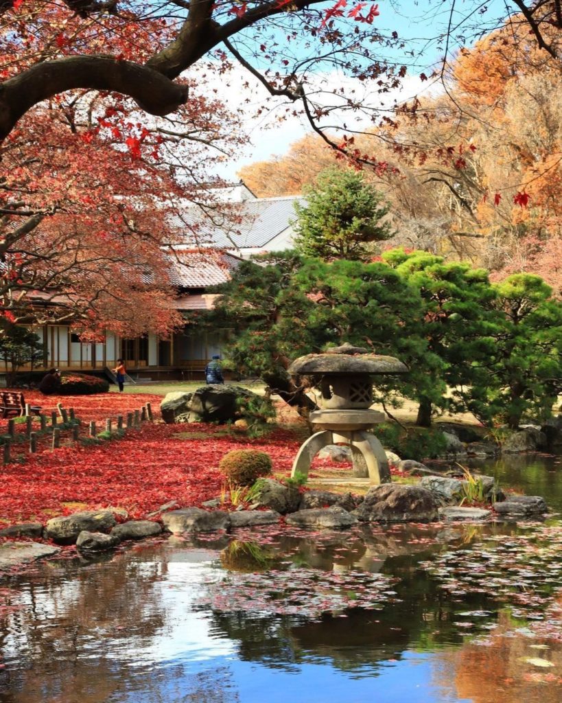 Have you ever entered such a serene garden?
The Japanese garden at the Morioka C...