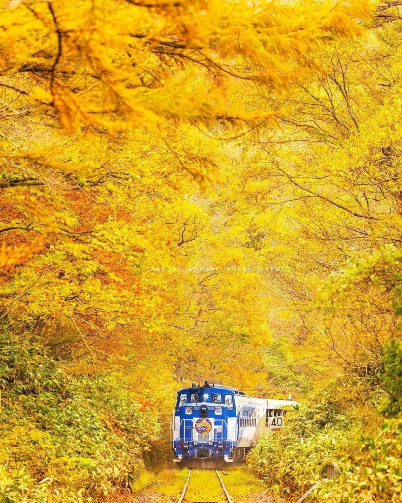 Would you like to ride through this brilliant golden-yellow tunnel? 
Passengers ...