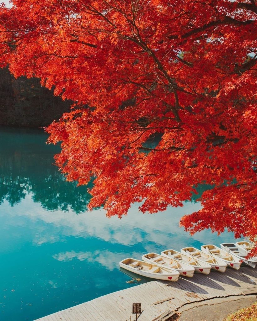 Have you ever seen more vivid colors than this?
The red autumn leaves and emeral...