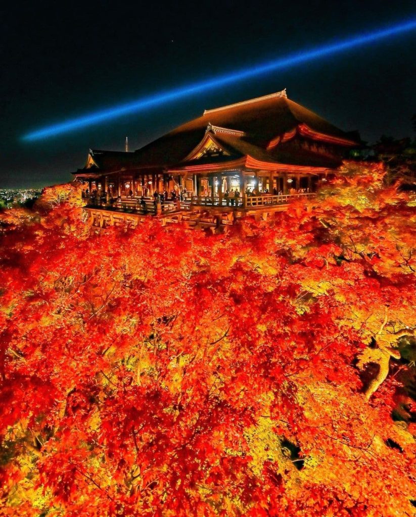 Kyoto's Kiyomizudera Temple is hosting an autumn light up event until November 3...