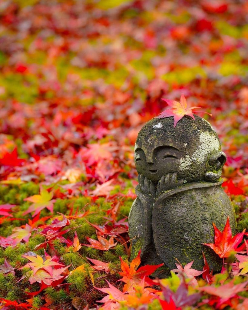 Japan Travel: All of the autumn color at the moment has the Japan Travel team smiling like thi… All of the autumn color at the moment has the Japan Travel team smiling like thi...