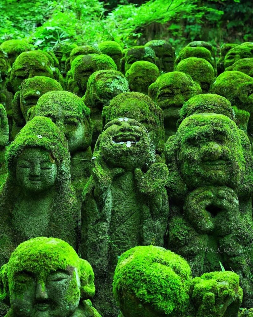 Visit Japan: Enshrined at Otagi-Nenbutsu-ji Temple are 1,200 stone statues called ‘rakan.’ Wh… Enshrined at Otagi-Nenbutsu-ji Temple are 1,200 stone statues called ‘rakan.’ Wh...