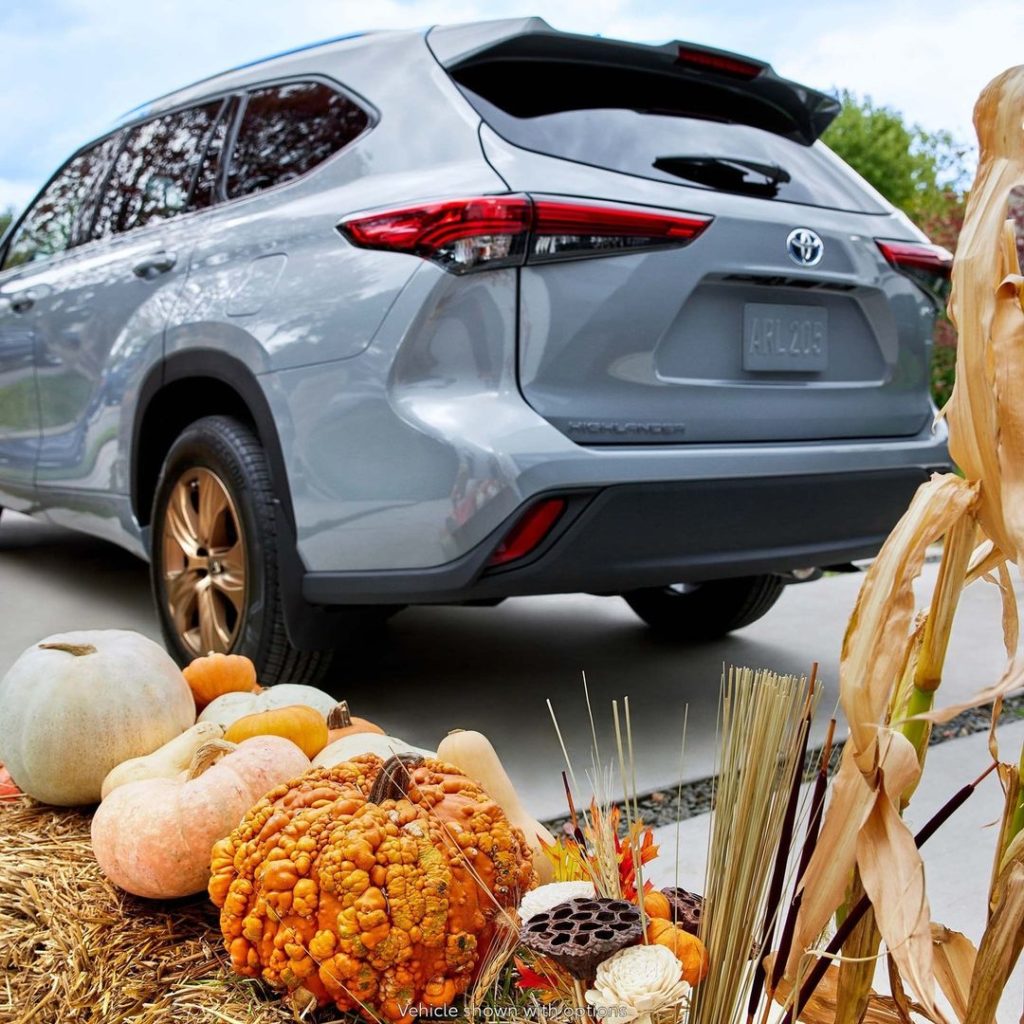 The perfect backdrop for family pictures.
 #Highlander #Hybrid Bronze Edition 
#...