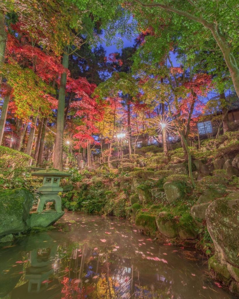 What colors can you see?
This wonderful image of fall colors comes courtesy of t...