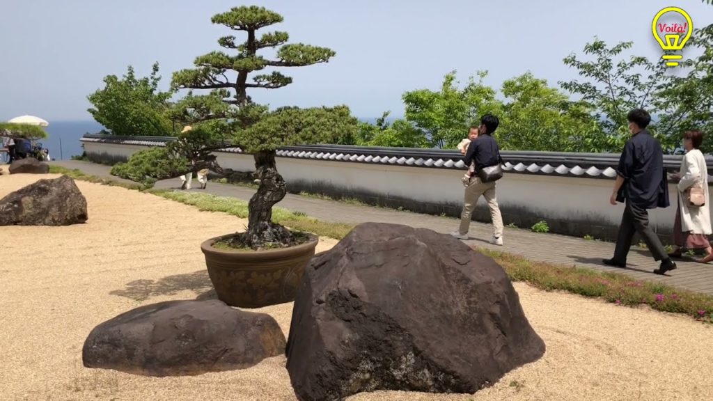 Part 3: What to visit in Atami Shizuoka, Japan? (Summer Escapade in Akao Herb & Rose Garden)