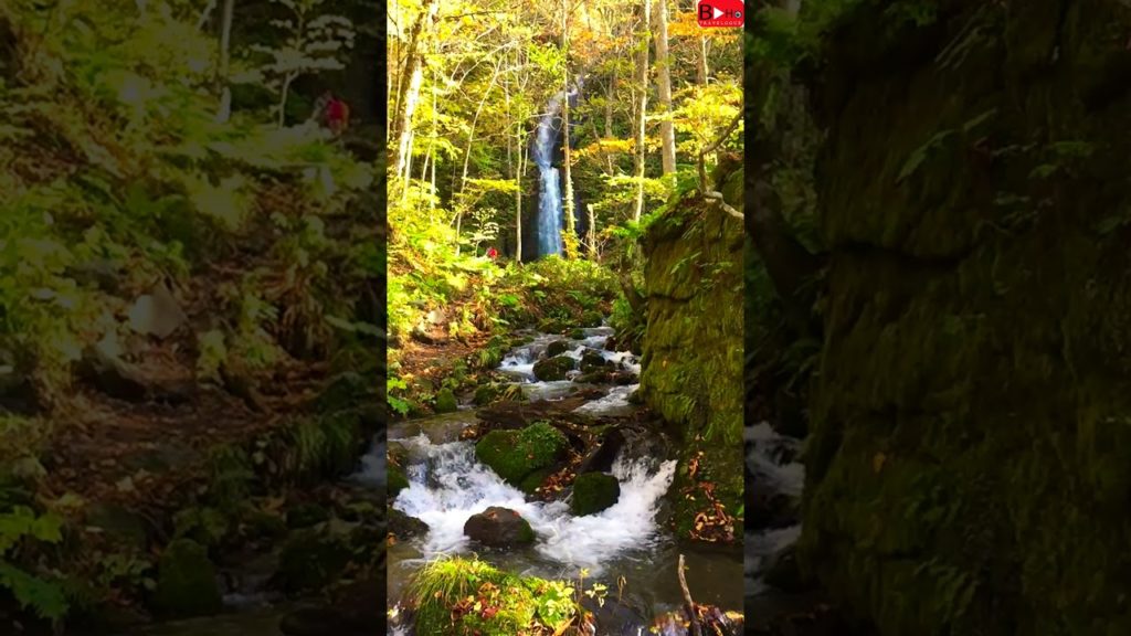 Breathtaking waterfall in Japan #shorts
