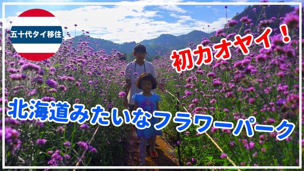 [五十代タイ移住]初カオヤイ！北海道のようなフラワーパークに行ってきた！