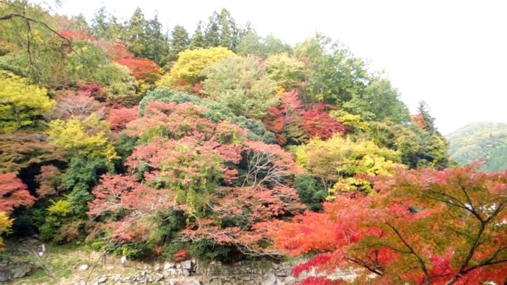 Autumn at Korankei Gorge in Asuke, Aichi-ken. Japan. October 2012
